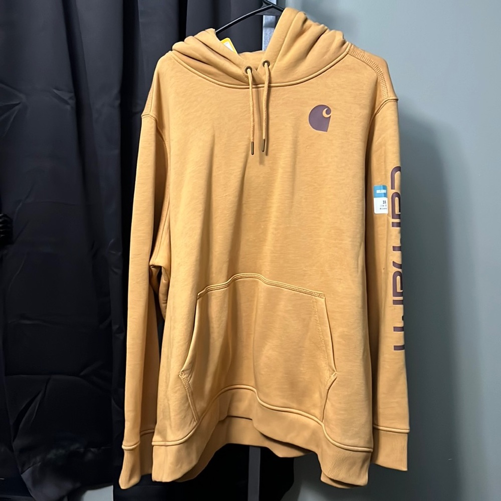 Carhartt nwt 3x hoodie